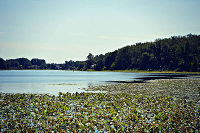 Scenic view of lake against sky