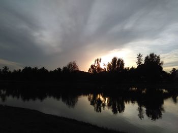 Reflection of trees in calm lake