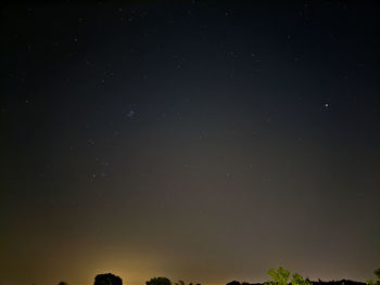 Low angle view of trees against sky at night