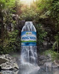Water flowing through rocks in forest