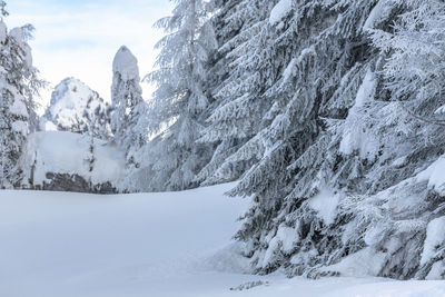 After the snowfall. dusk on the sappada plain. magic of winter.