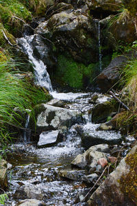 Stream flowing through rocks in forest
