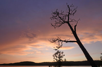 Silhouette bare tree against sky during sunset