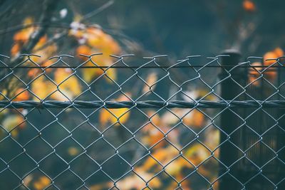 View of chainlink fence 