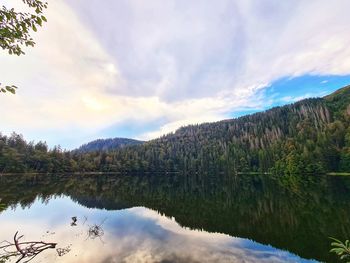 Scenic view of lake by trees against sky