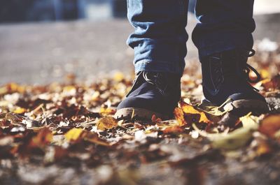 Low section of woman standing in park