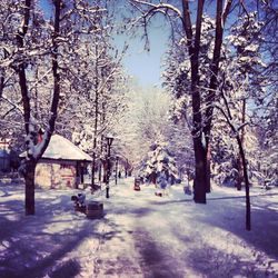 Road passing through snow covered landscape