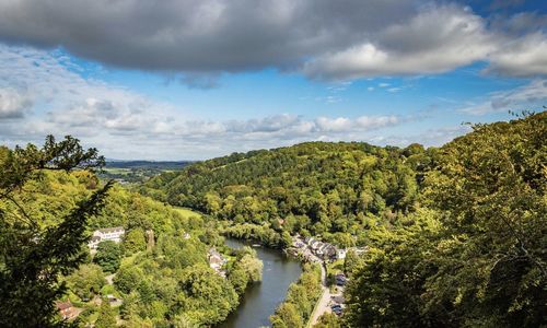 Scenic view of river amidst trees against sky