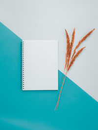 High angle view of paper on table against white background