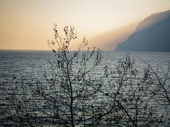 Close-up of water drops on sea against sky