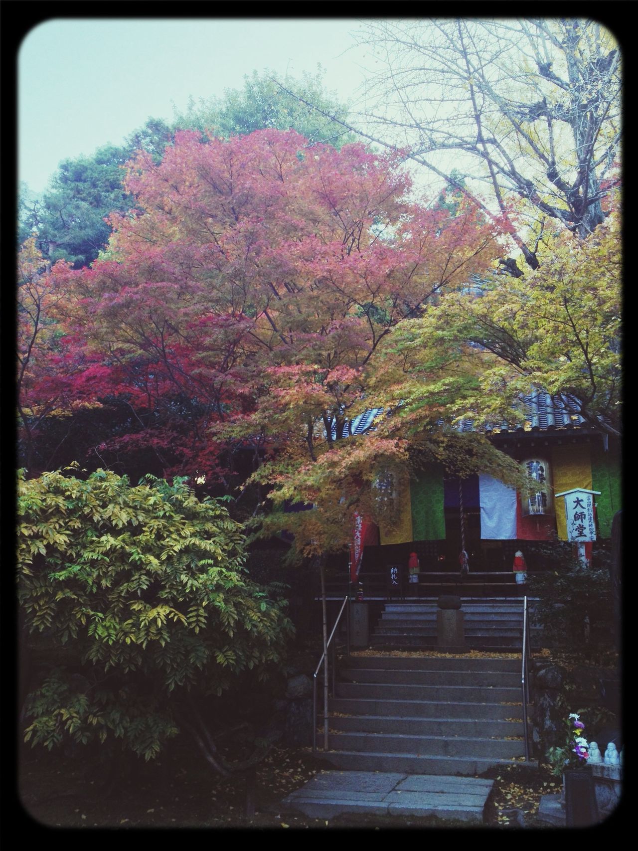 今熊野観音寺 大師堂