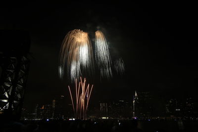 Low angle view of firework display at night