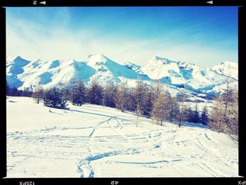 Snow covered landscape