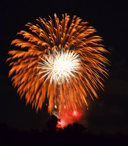 Low angle view of firework display at night