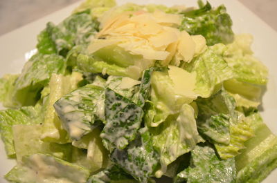 Close-up of salad