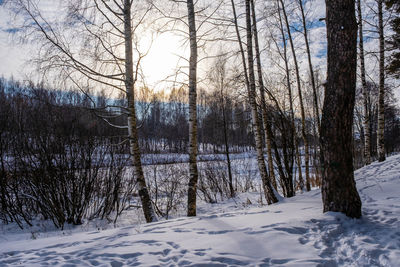 Bare trees on snow covered field against sky