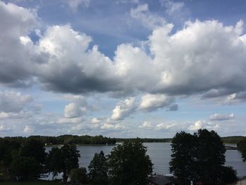 Scenic view of trees against sky