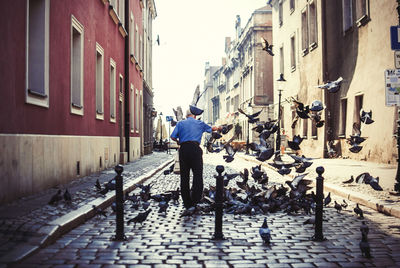 Rear view of man feeding pigeons on street