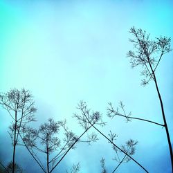 Low angle view of bare tree against clear blue sky