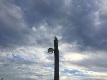 Low angle view of bird perching on pole against sky