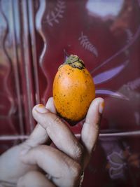 Close-up of hand holding apple