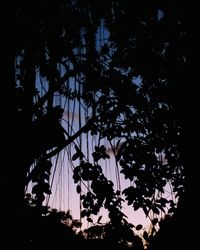 Low angle view of silhouette trees against sky