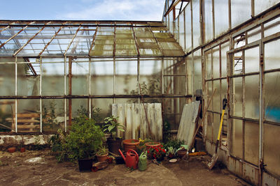 Potted plants in greenhouse