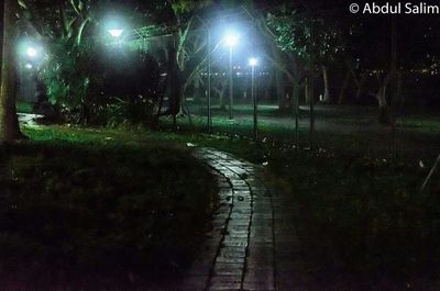 Illuminated footpath at night