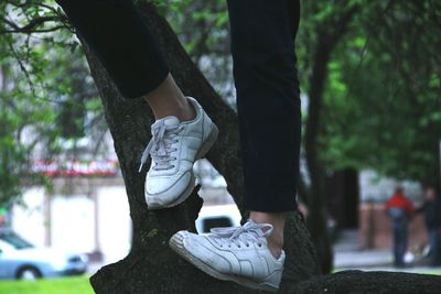 Woman standing on tree trunk