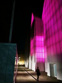 Rear view of woman standing on illuminated building at night