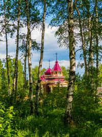 View of temple against trees and building