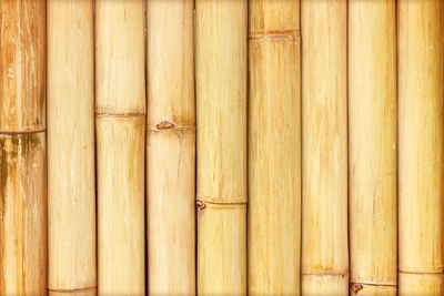 Full frame shot of bamboo