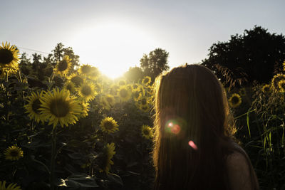 Portrait of woman with sunflower against sky