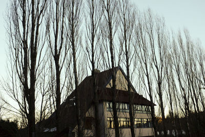 Low angle view of bare trees against sky