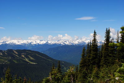 View from blackcomb mountain 