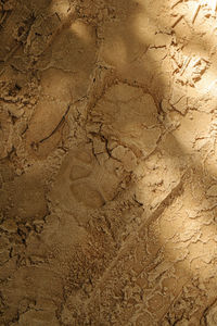 Close-up of cracked surface