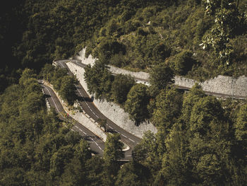 High angle view of road in forest