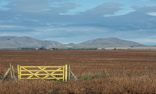 Scenic view of field against sky