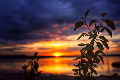 Scenic view of landscape against cloudy sky