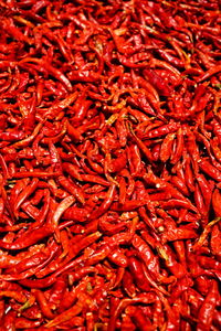 Full frame shot of red chili peppers