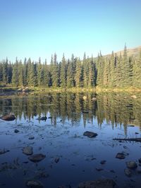 Scenic view of lake by trees against sky