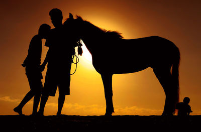 Silhouette of horses on field at sunset