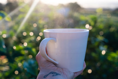 Close-up of hand holding tea cup