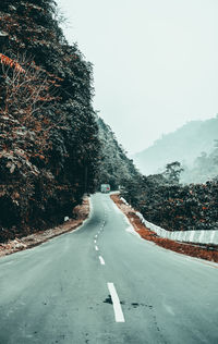 Road amidst trees against sky