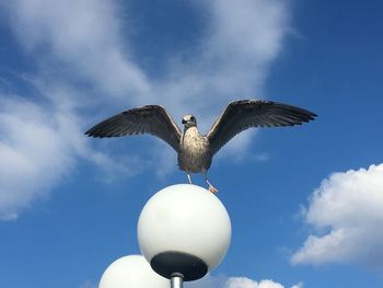 Low angle view of seagull perching on gas light against sky