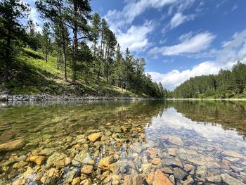Scenic view of lake in forest against sky