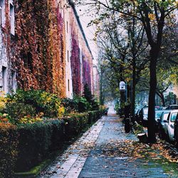 View of footpath in city