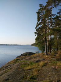 Scenic view of sea and clear sky