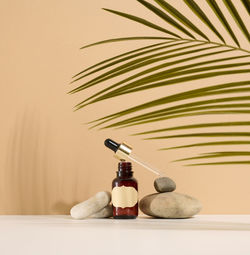 A brown glass bottle with a pipette and a brown label stands on a stone. container for cosmetics, 