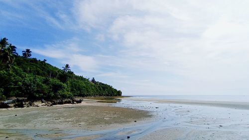 Scenic view of beach against sky